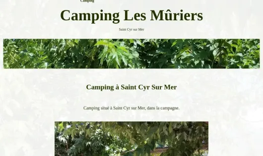 CAMPING LES MÛRIERS