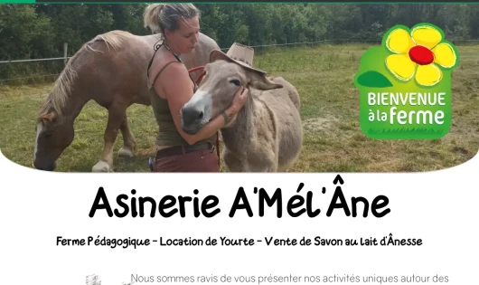 ASINERIE A' MÉ L'ANE