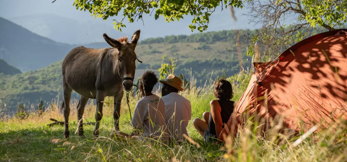 CAMPING À LA FERME DE BAMBOUL'ÂNE